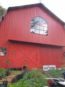 Freda's Reviews: Shamba Cafe